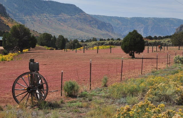 the fall colors along Highway 141